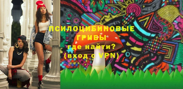 марки nbome Белокуриха