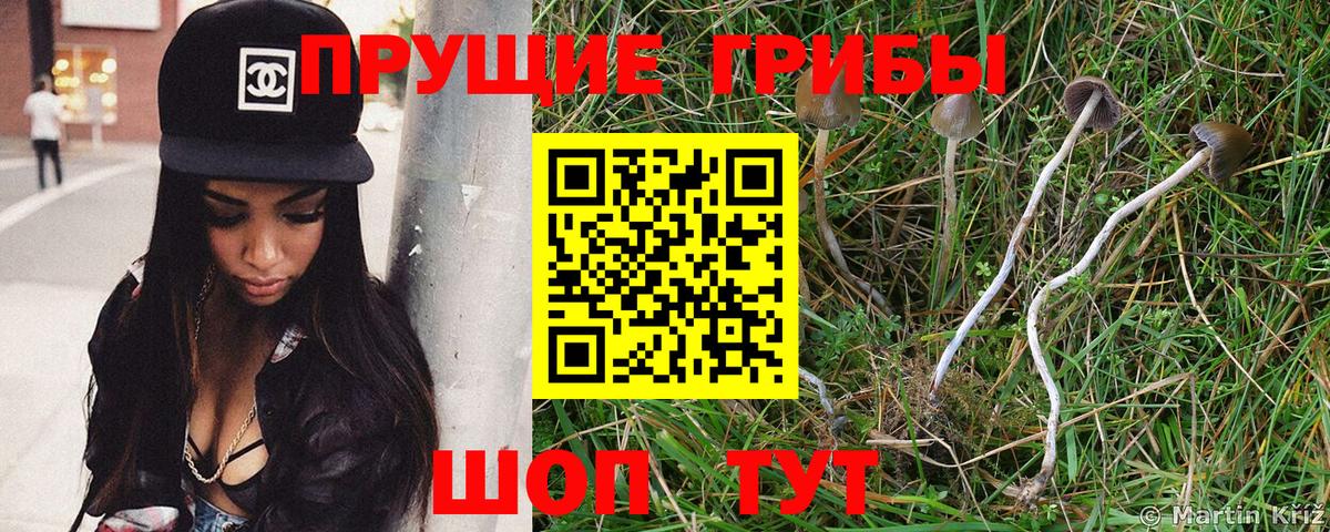 Галлюциногенные грибы Magic Shrooms  Псилоцибиновые грибы мухоморы  Вход с VPN  Воскресенск 